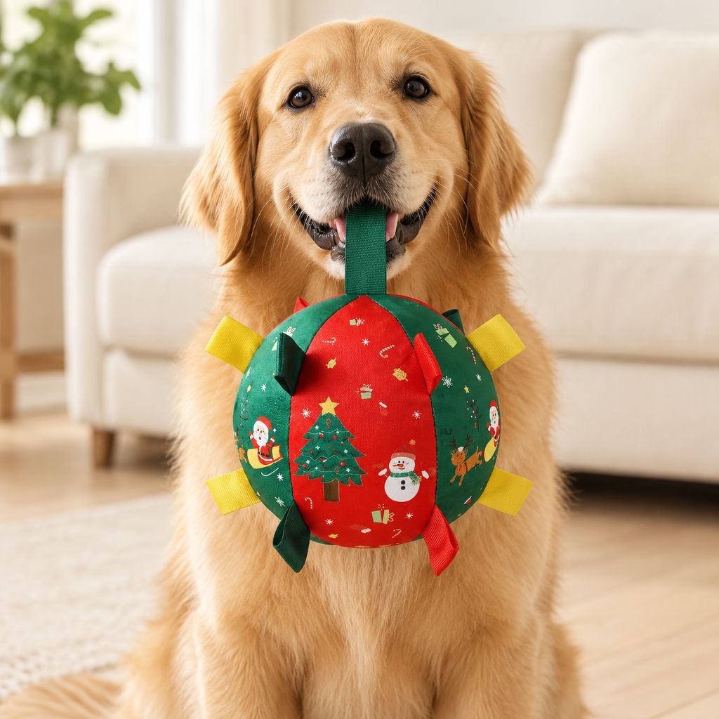 Wag Orbit Interactive Dog Ball
